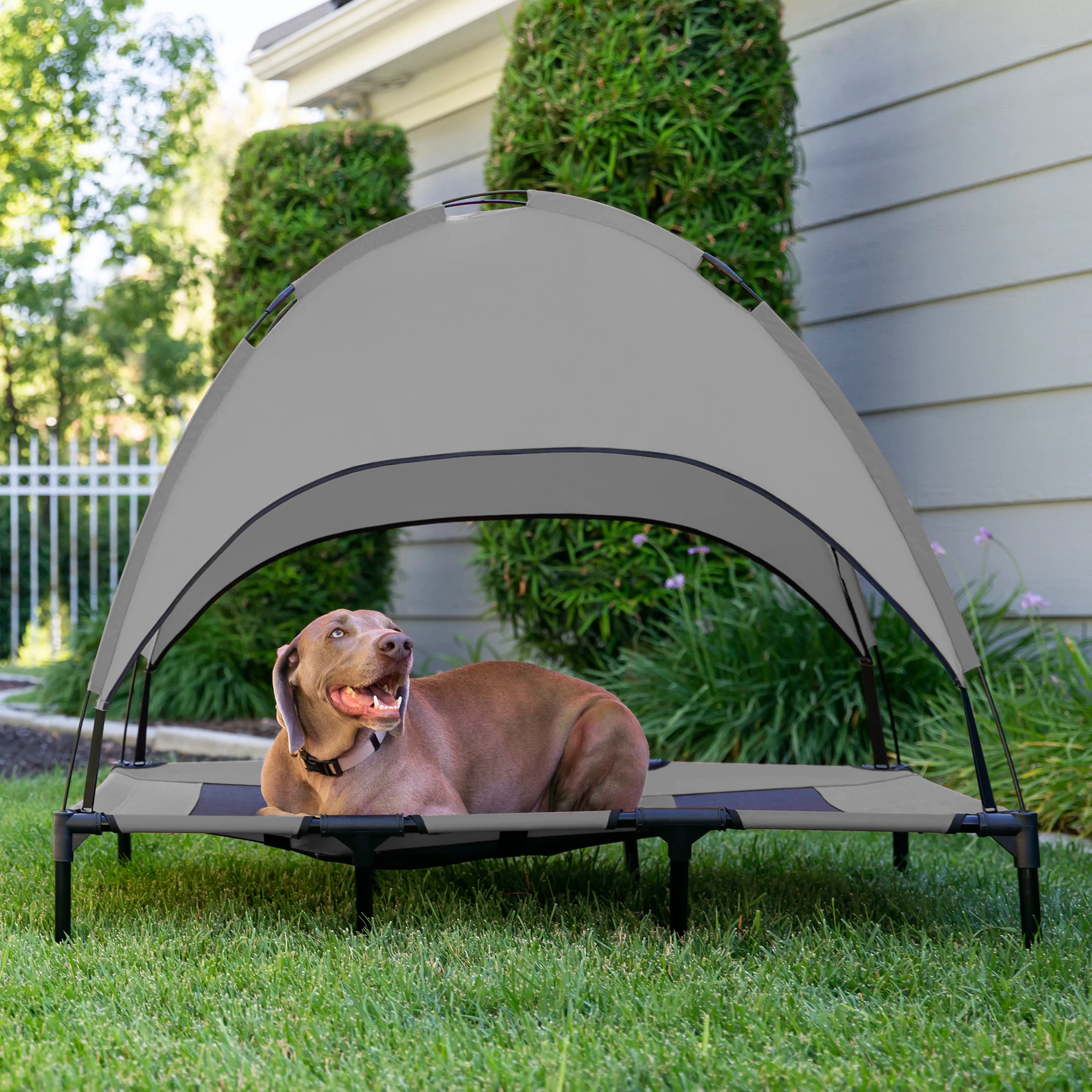 Elevated Cooling Dog Bed, Outdoor Pet Cot w/ Canopy, Carry Bag - 48in - Image 9