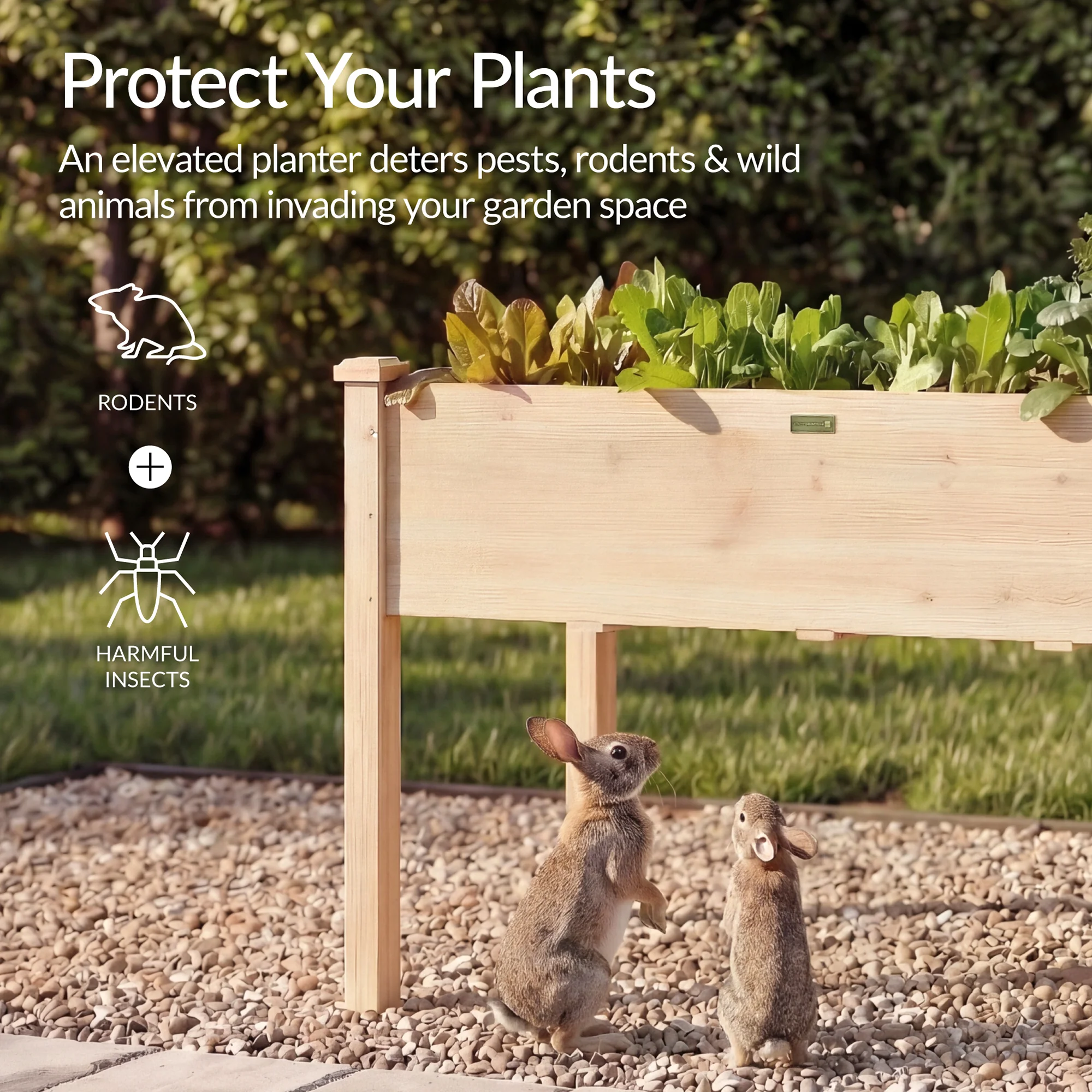 Raised Garden Bed, Elevated Wooden Planter Box w/ Foot Caps - 48x24x30in - Image 14