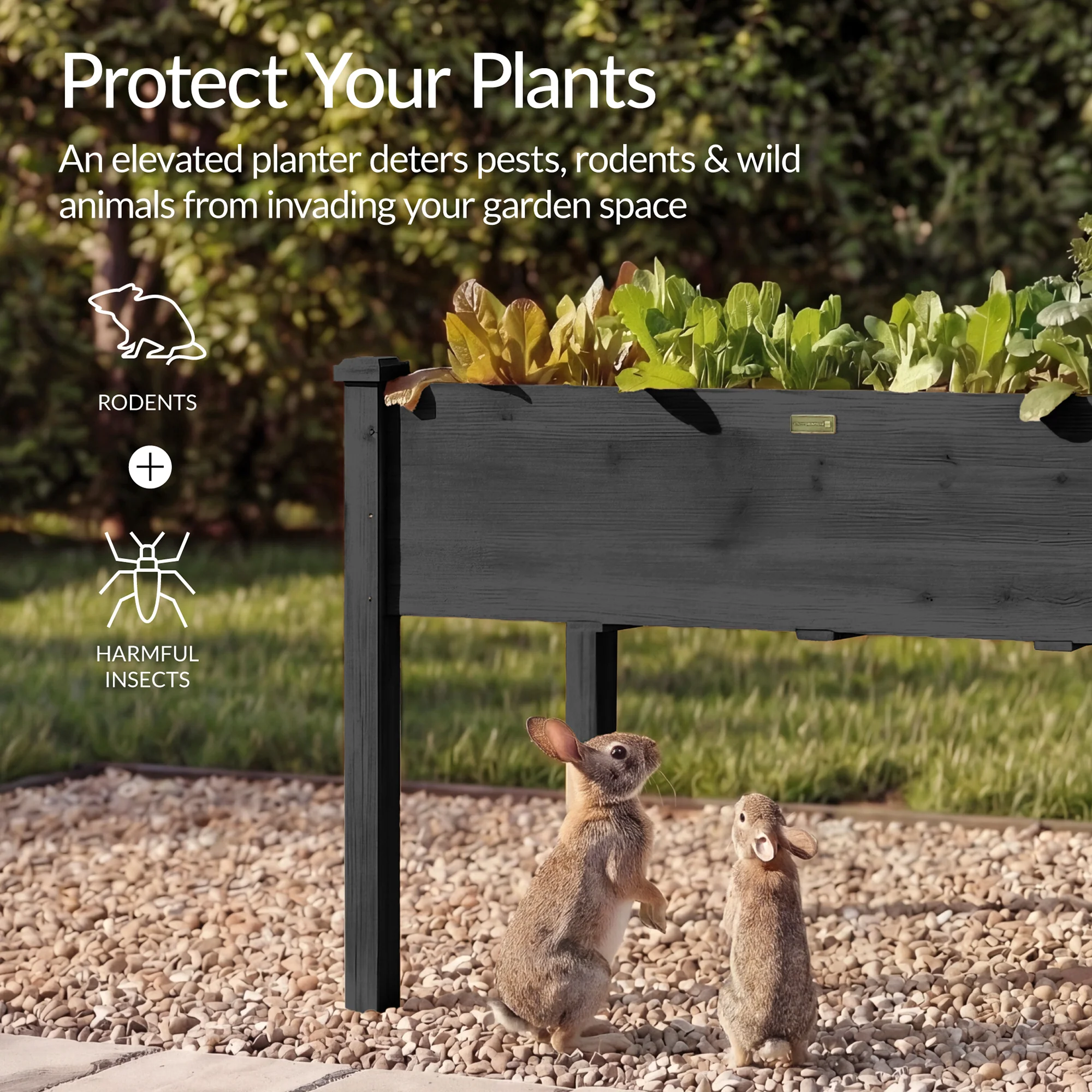 Raised Garden Bed, Elevated Wooden Planter Box w/ Foot Caps - 48x24x30in - Image 28