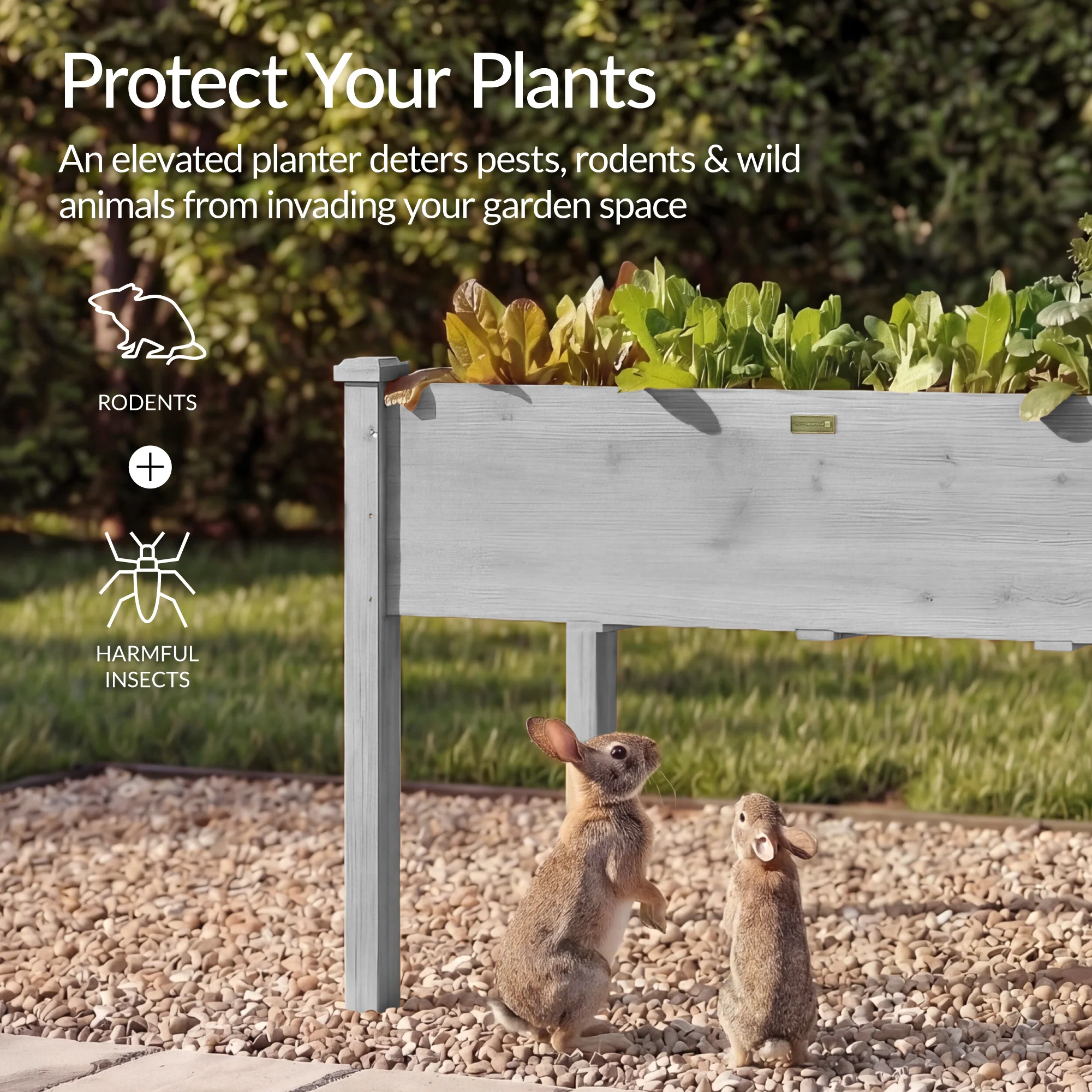 Raised Garden Bed, Elevated Wooden Planter Box w/ Foot Caps - 48x24x30in - Image 35