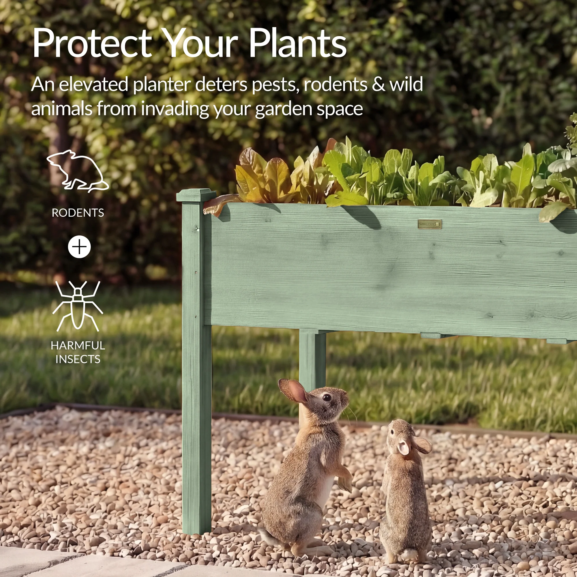 Raised Garden Bed, Elevated Wooden Planter Box w/ Foot Caps - 48x24x30in - Image 42