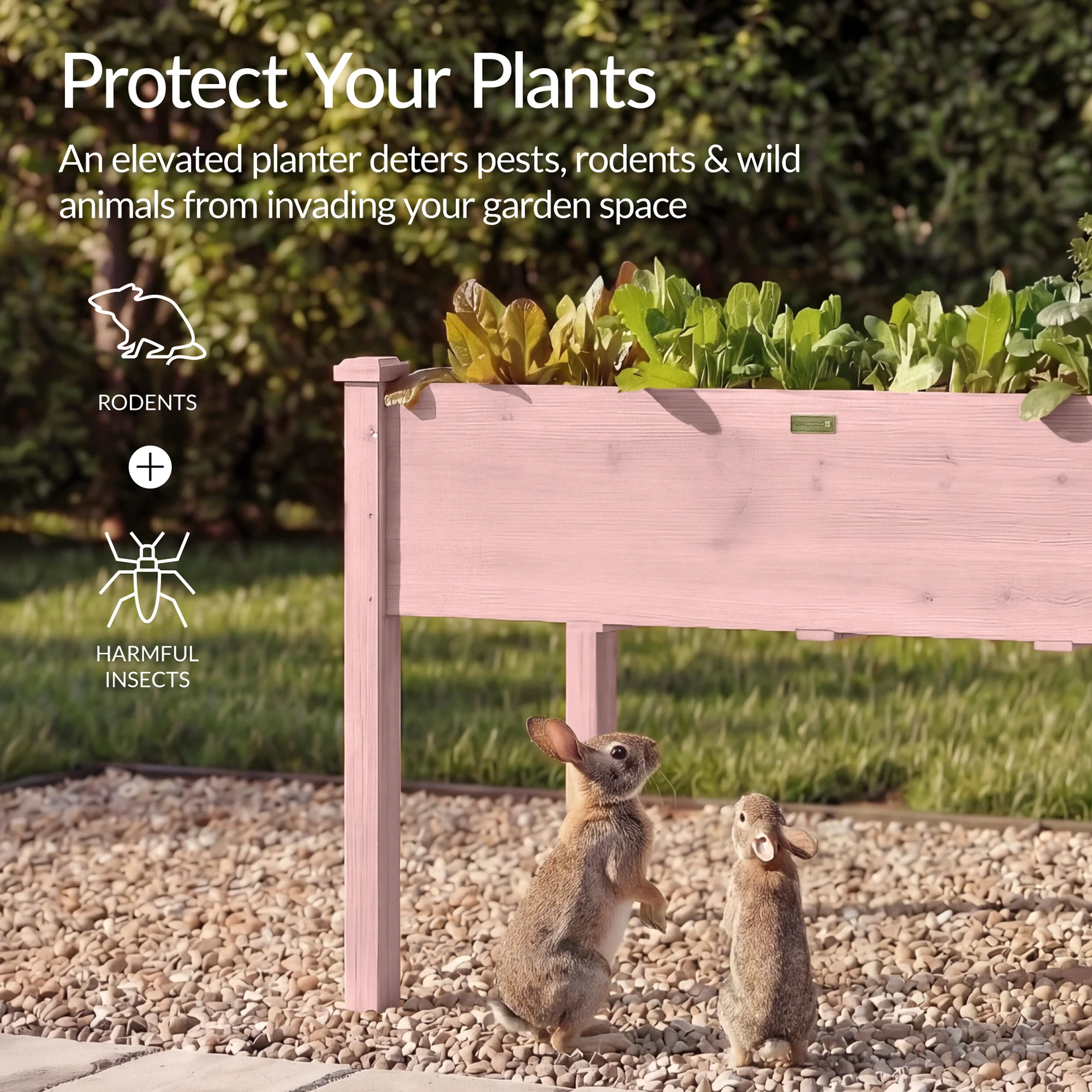 Raised Garden Bed, Elevated Wooden Planter Box w/ Foot Caps - 48x24x30in - Image 49