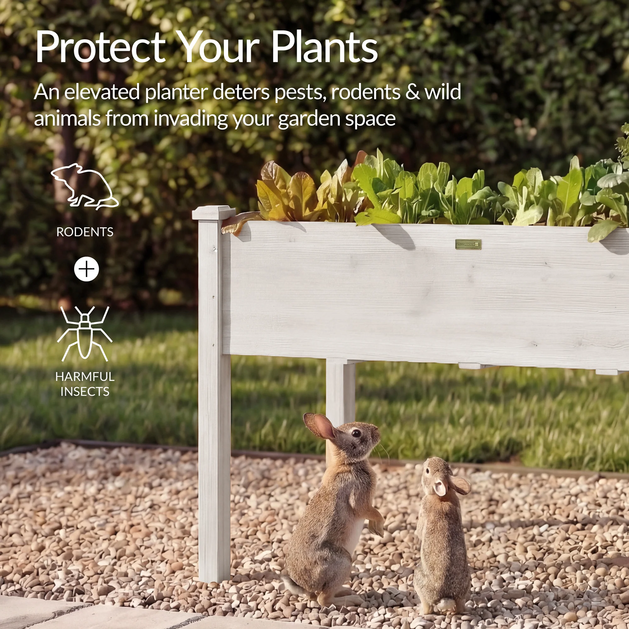 Raised Garden Bed, Elevated Wooden Planter Box w/ Foot Caps - 48x24x30in - Image 56