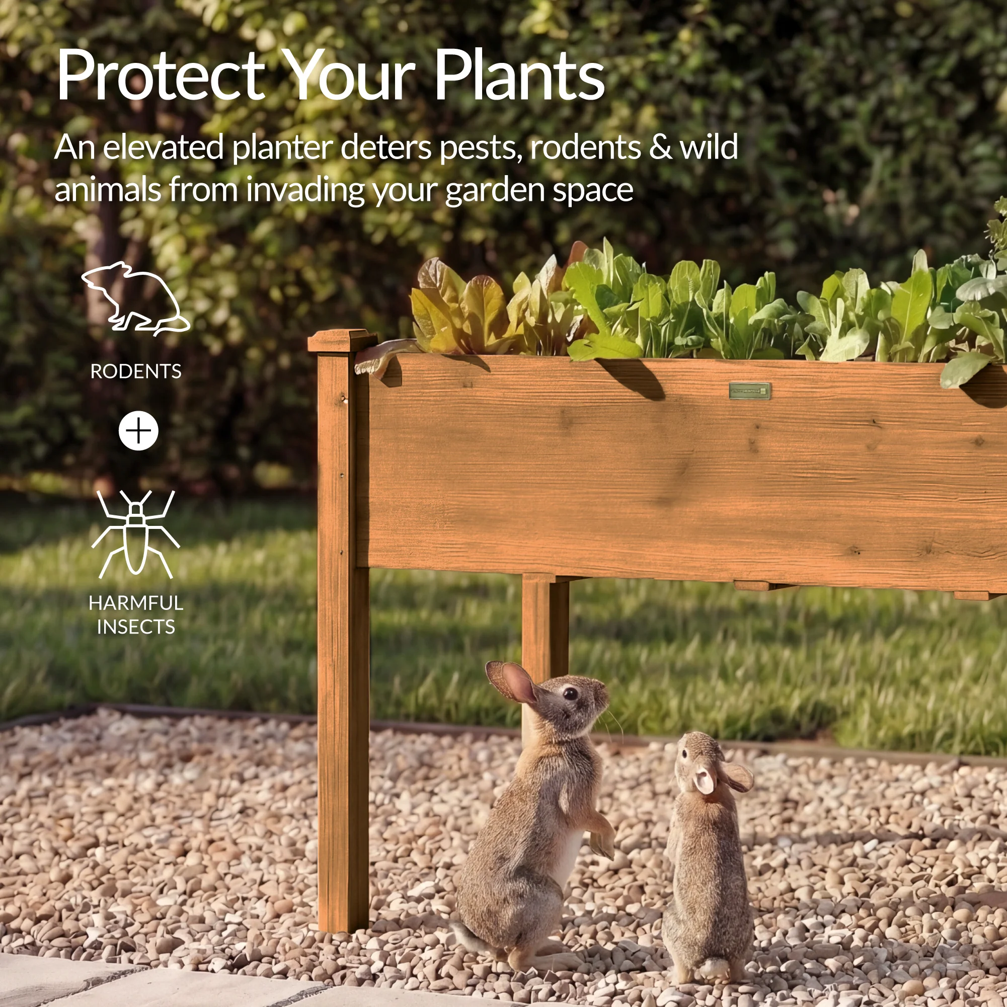 Raised Garden Bed, Elevated Wooden Planter Box w/ Foot Caps - 48x24x30in - Image 7