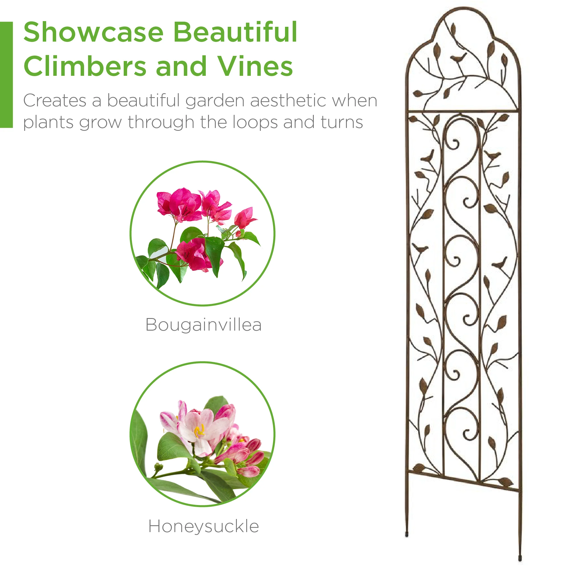 Iron Arched Garden Trellis Fence Panel w/ Branches, Birds - 60x15in - Image 4