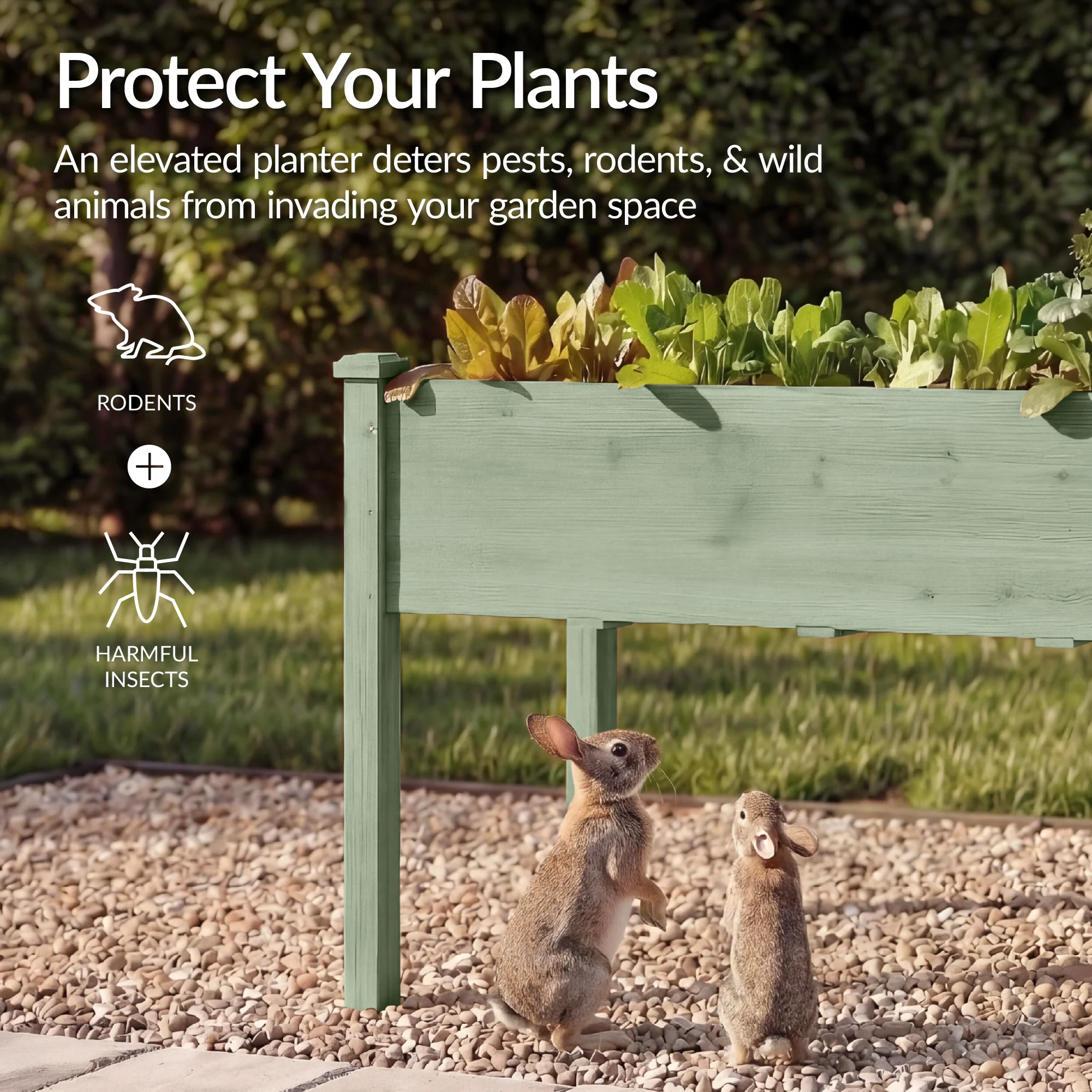 Raised Garden Bed, Elevated Wood Garden Planter Stand - 72x24x30in - Image 7
