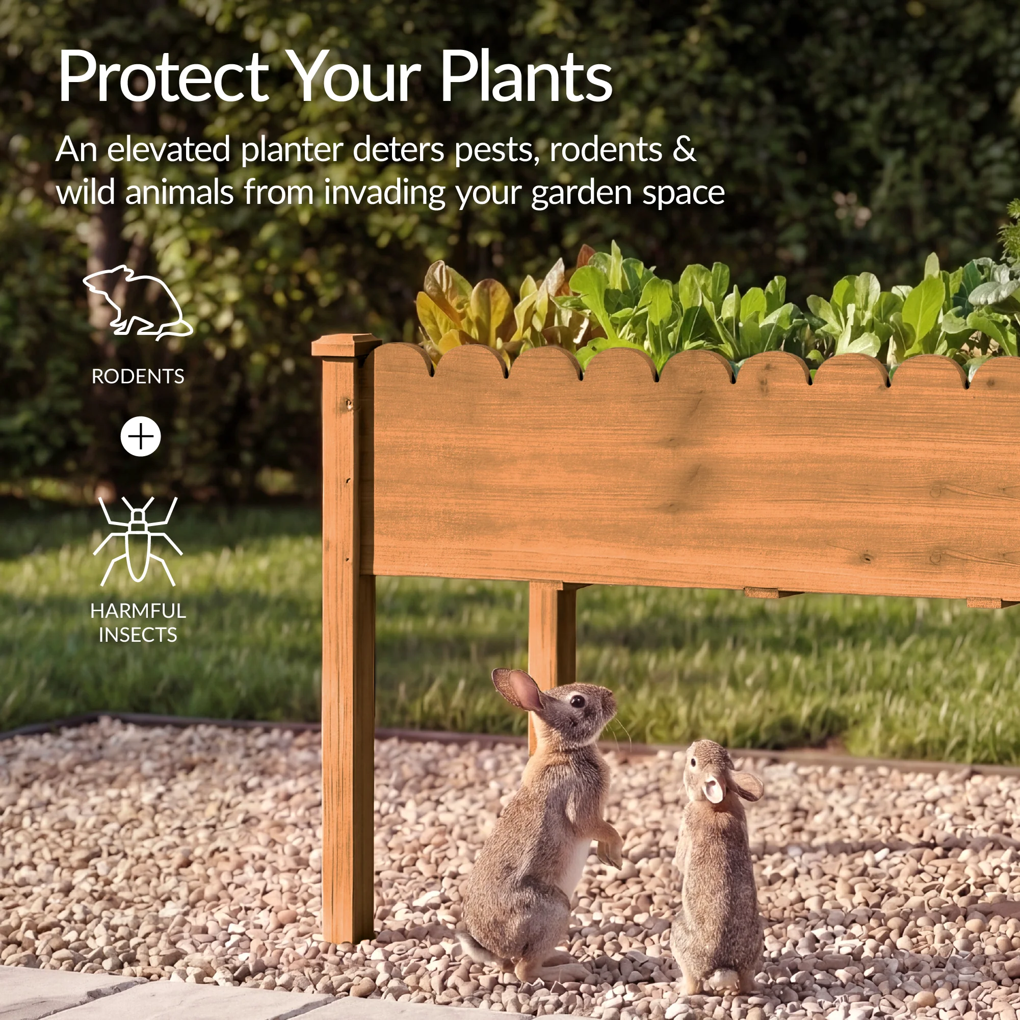 Raised Garden Bed, Scalloped Elevated Wooden Planter Box - 48x24x30in - Image 24