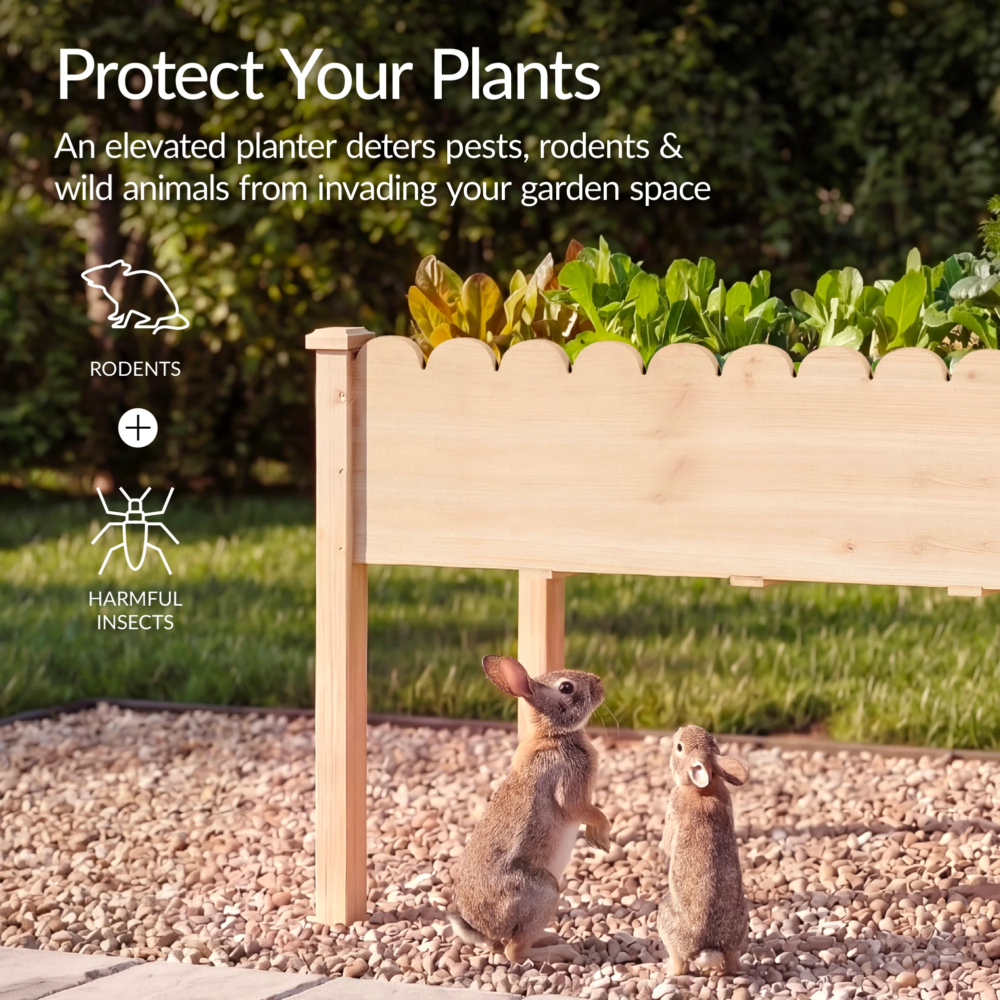 Raised Garden Bed, Scalloped Elevated Wooden Planter Box - 48x24x30in - Image 32